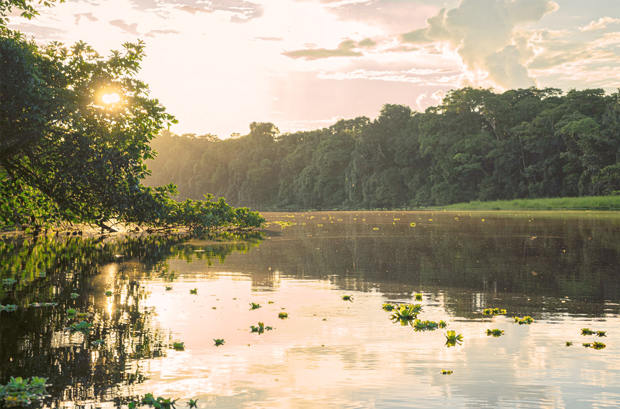 Lake in Loja surrounded by green jungle trees as the sun sets