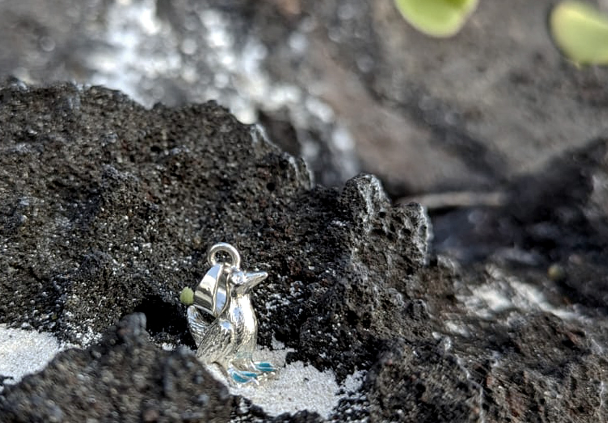 Blue footed boobie pendant on sand and lava rock