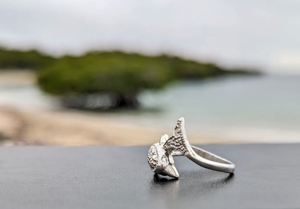 Dolphin wrap ring on beach