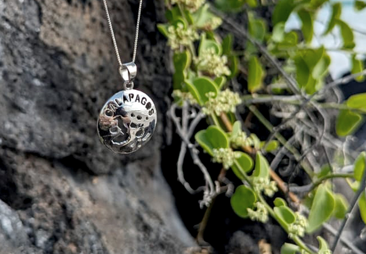 Galapagos map pendant hanging on rock with green plant