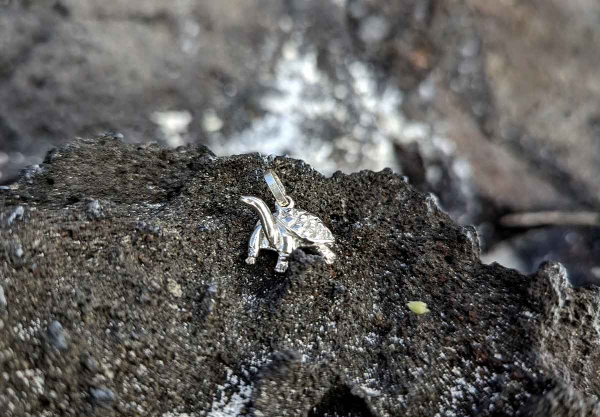 Giant tortoise pendant on lava rock