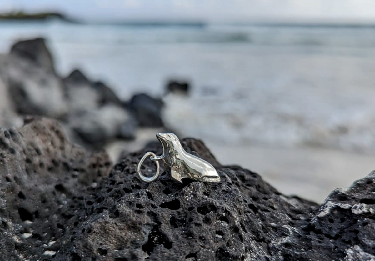 Sea lion pendant on lava rock at beach