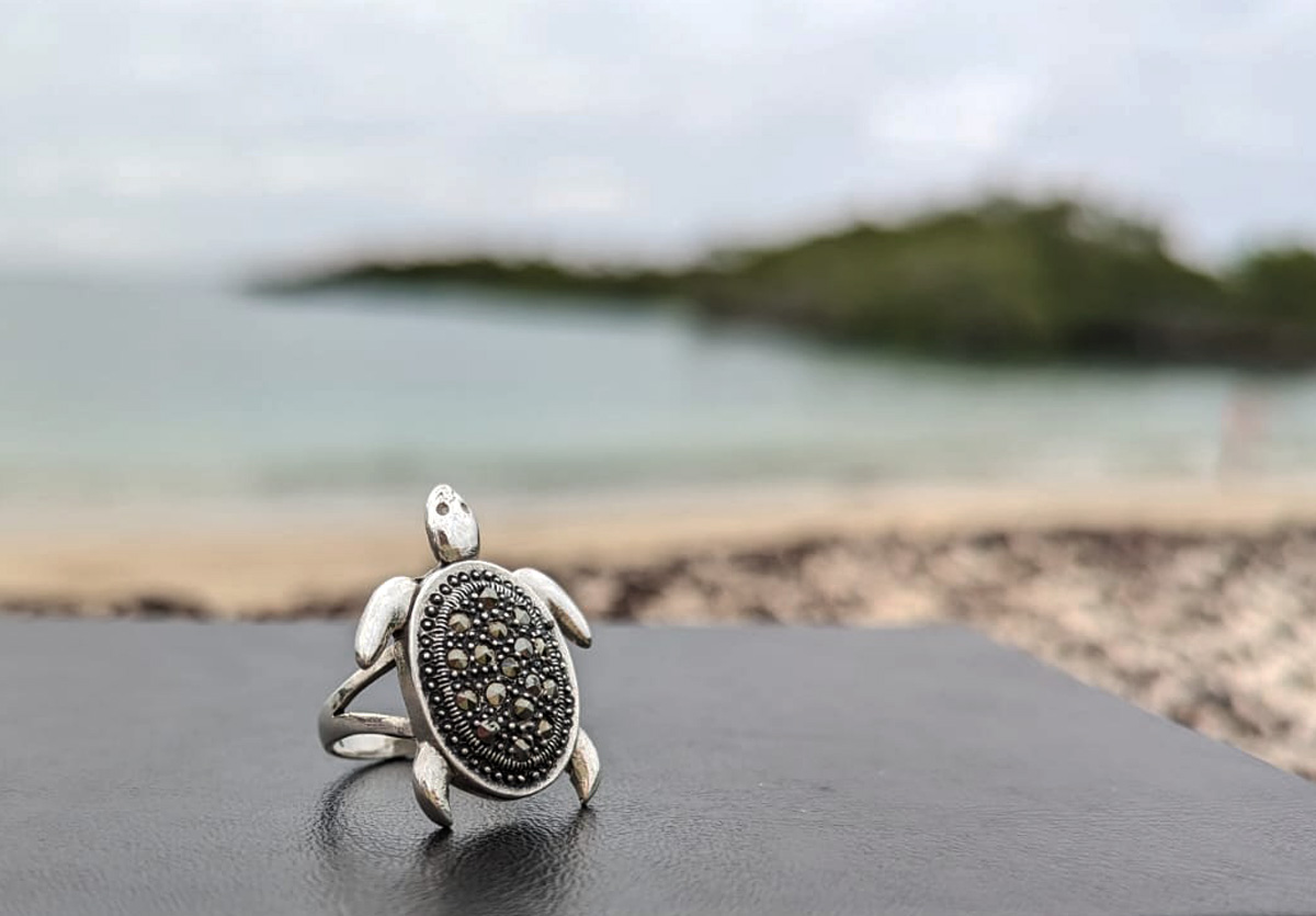 Silver sea turtle ring on beach